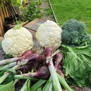 Lynda's Cauliflower